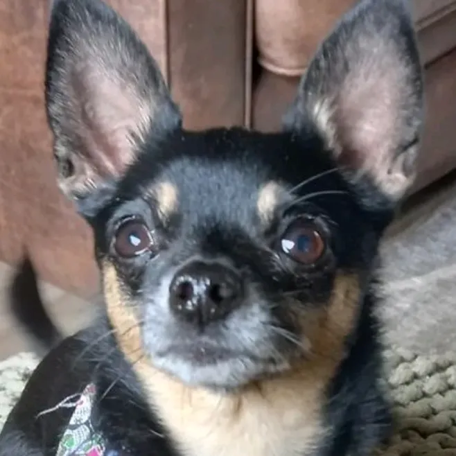casperthechichi