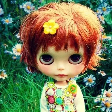 shein_1.11