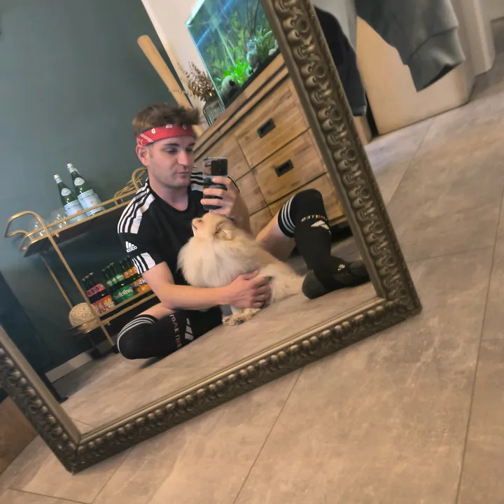 pomeranian_daddy