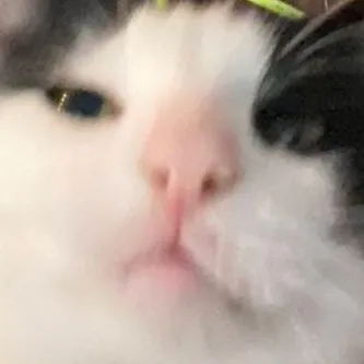 d3adr0z3s