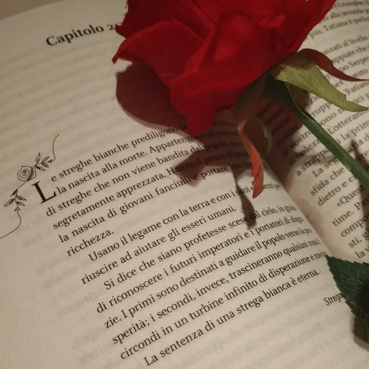 violaaslibrary