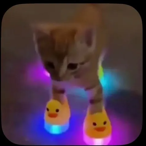 @__sophist__