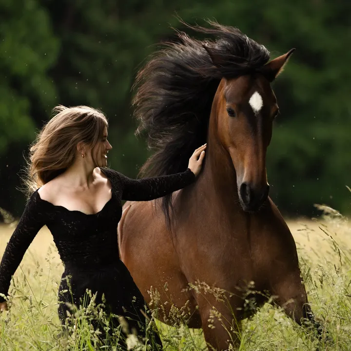 fiery.horses_