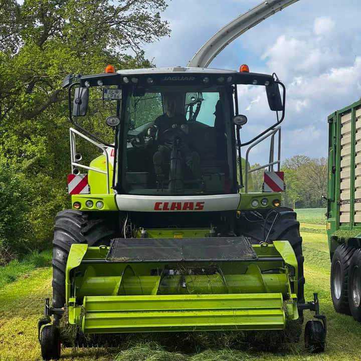 jonas7250