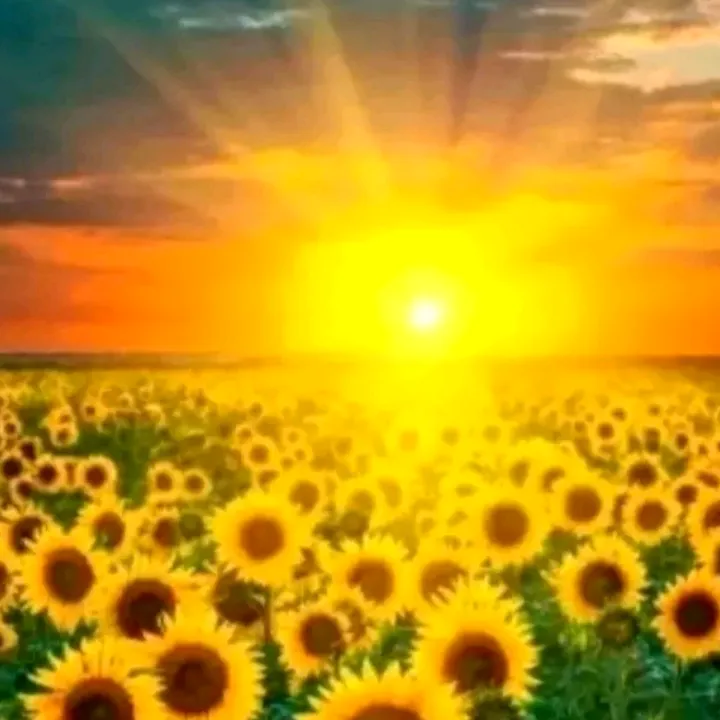 @engel_ute10