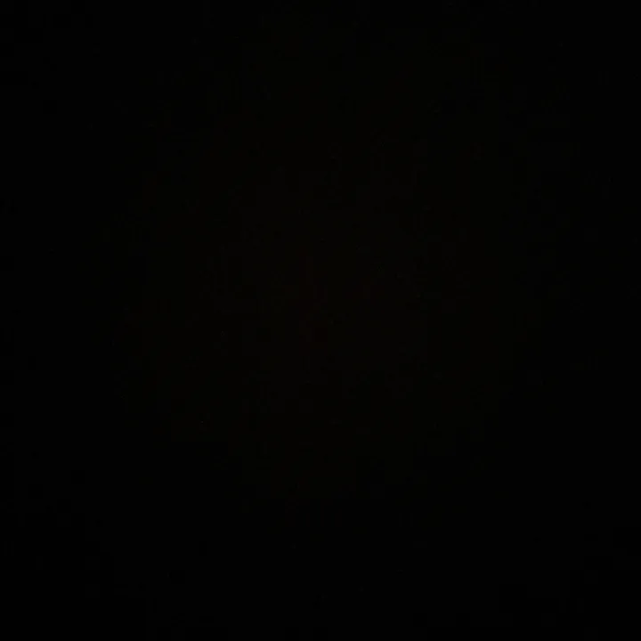 bosanskikralj_5