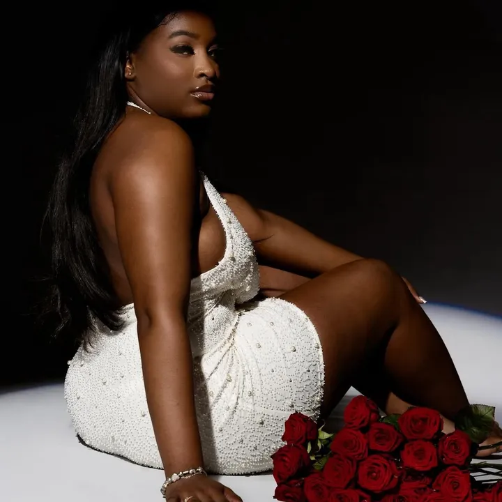 simplybraidsaesthetics