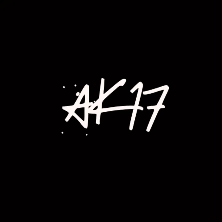 ak17projectlife