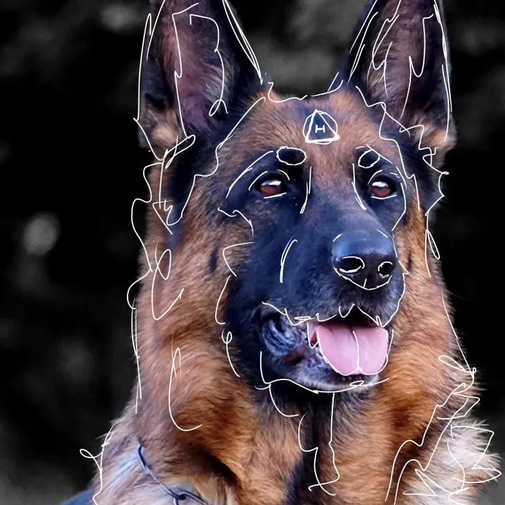germanshepherdfan01
