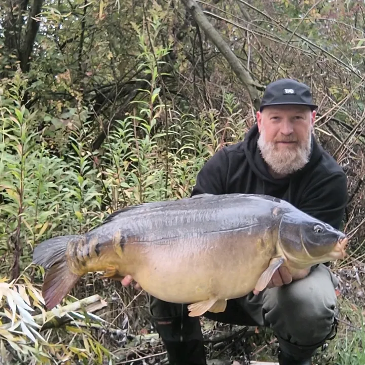 karpfenkay