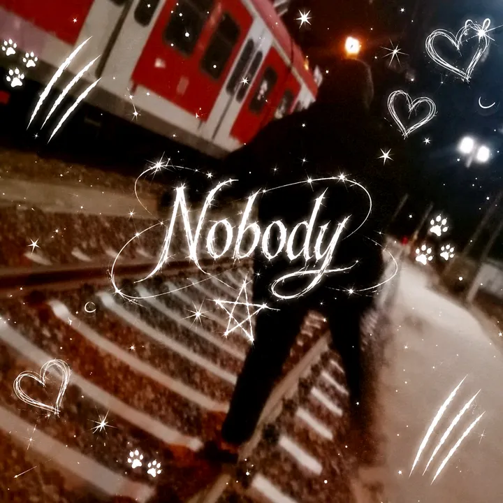 nobody_is_perfeckt