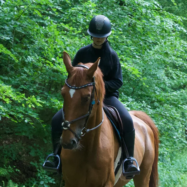 @annalisa.equestrian
