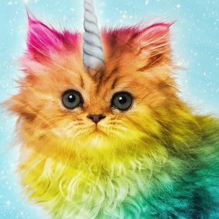 @4rainbowkittens