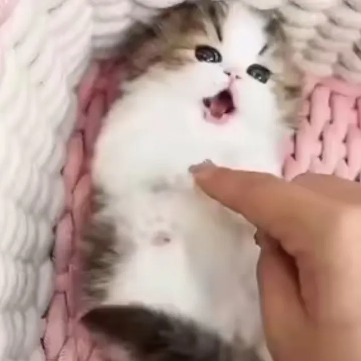 @uifb5