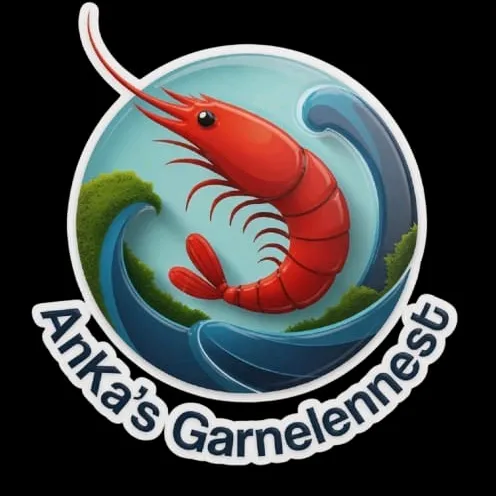 ankasgarnelennest