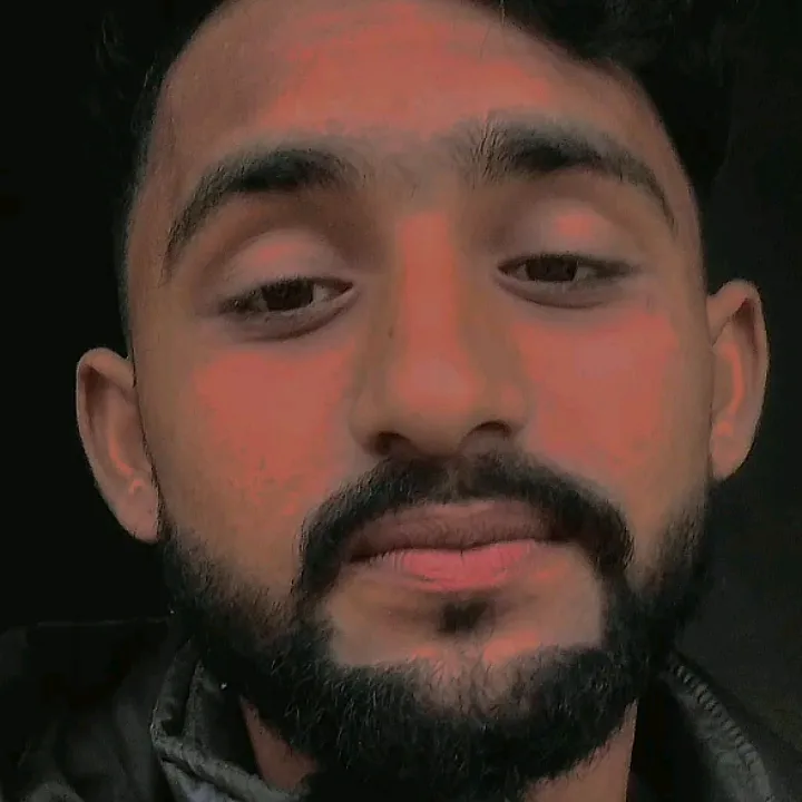 rajadanter