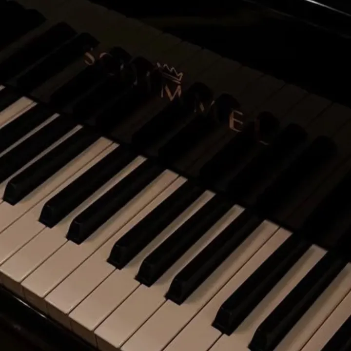 @thepianoplayer01