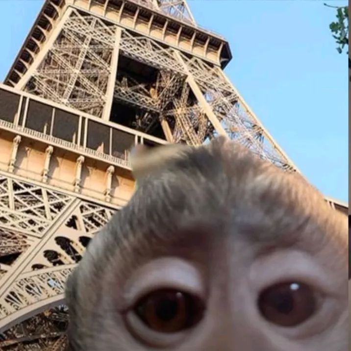 monkeytop_