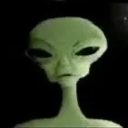 @thedumpickle