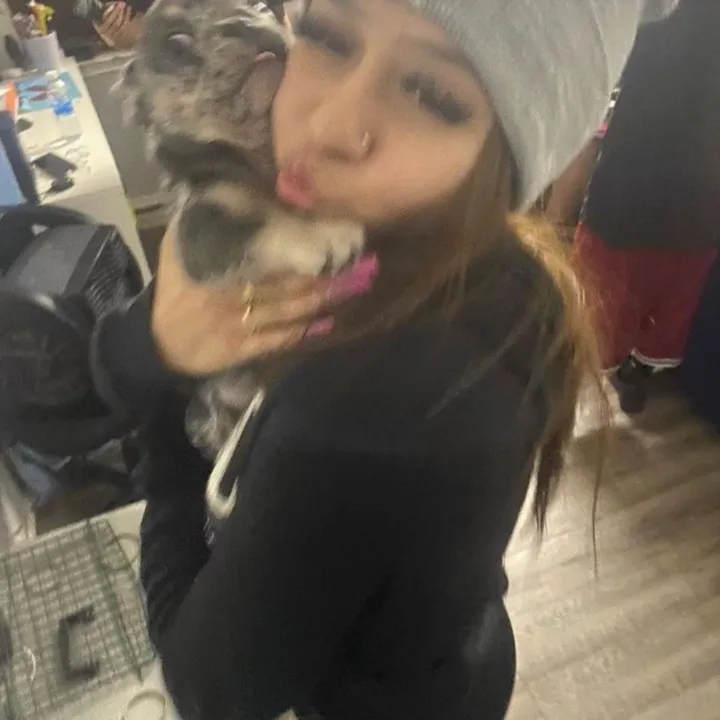 @ziatavvv