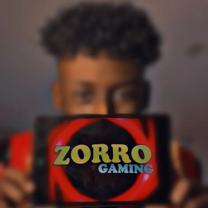 zorro__gaming