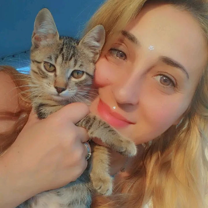 lagattina5