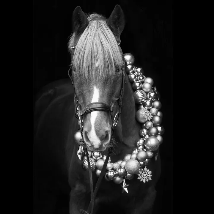 @magic.pony_candy