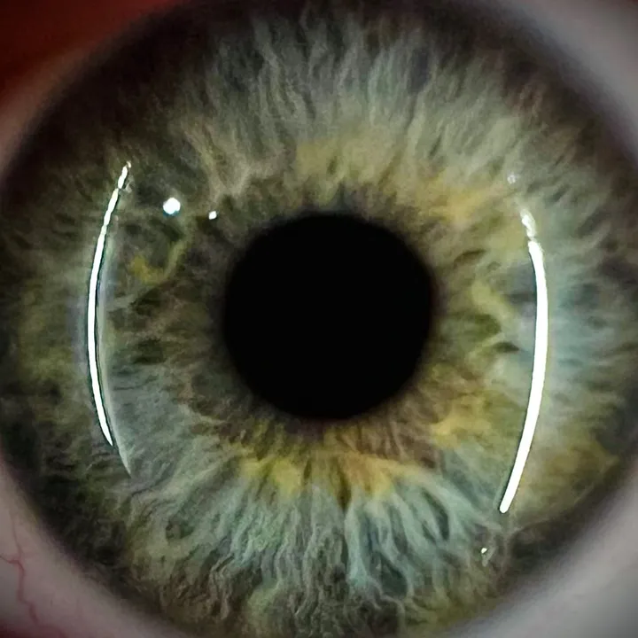 flokiii14