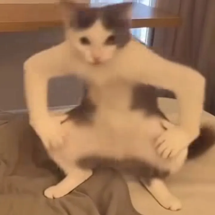 @andrej_i30n