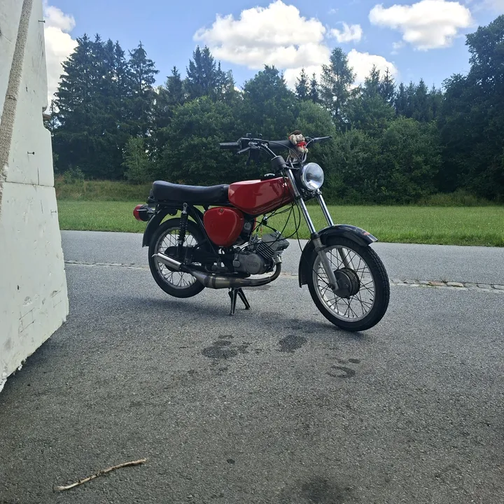 fuftscher_maurice51