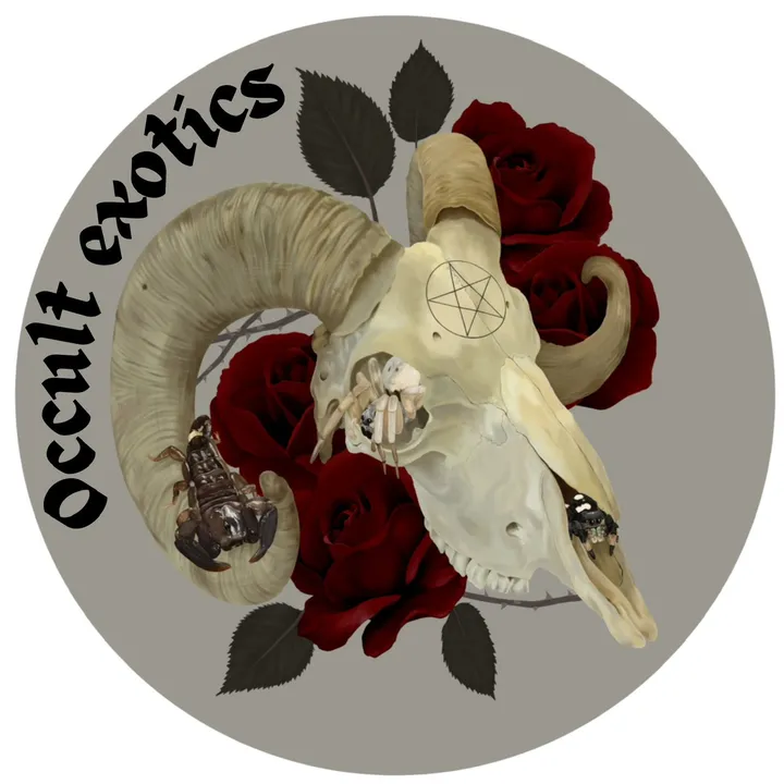@occultexotics666