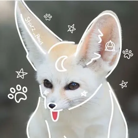 starz_pawz