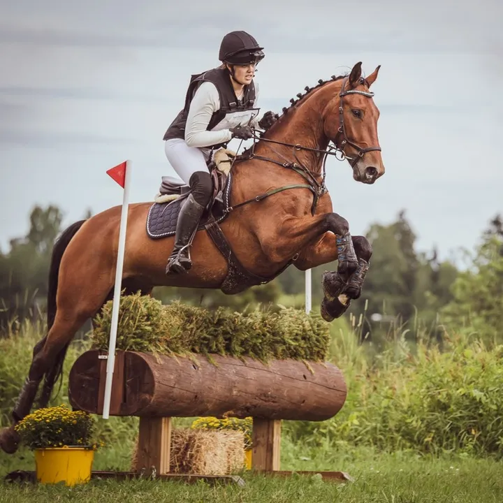 mansikkamaki_eventing