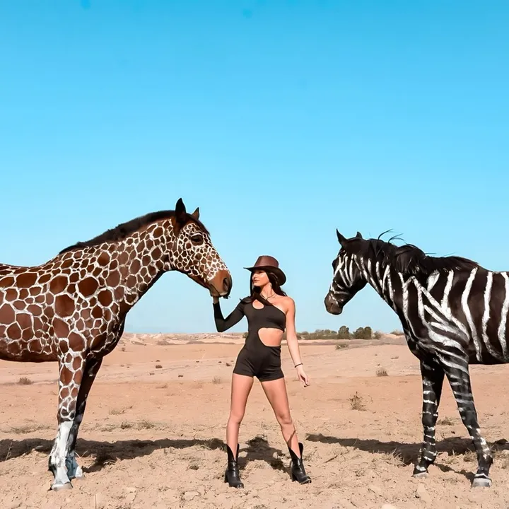 @mariliapetrou