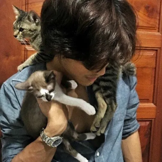 doll_cat35