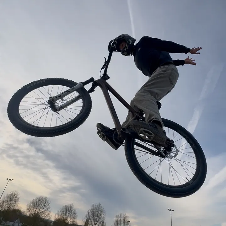 luca_leps
