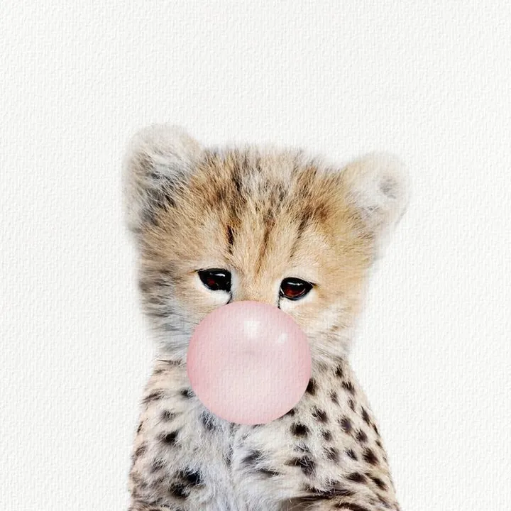 lychee_078