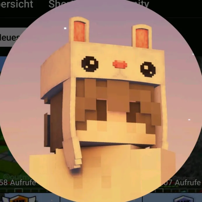 @twitch_felixhai