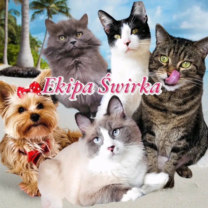 ekipa_swirka