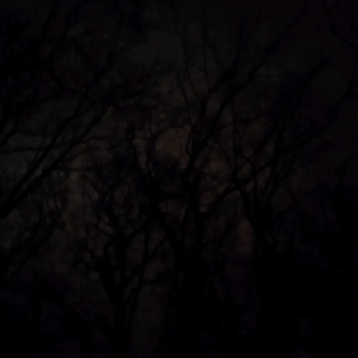 @musicthatdeserveshype