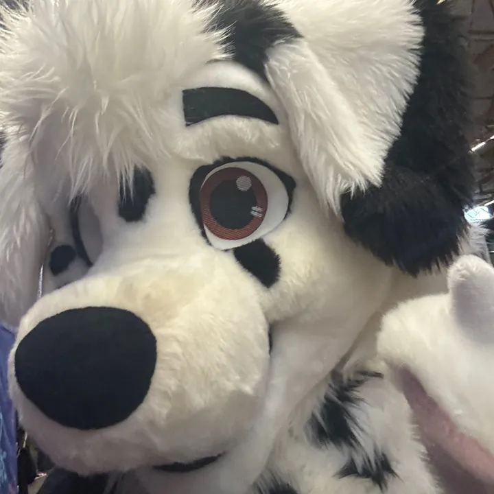 furrywolfy1020
