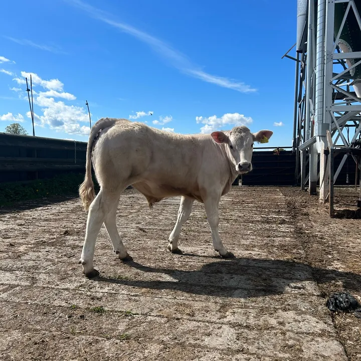 lifeonthefarmcheshire