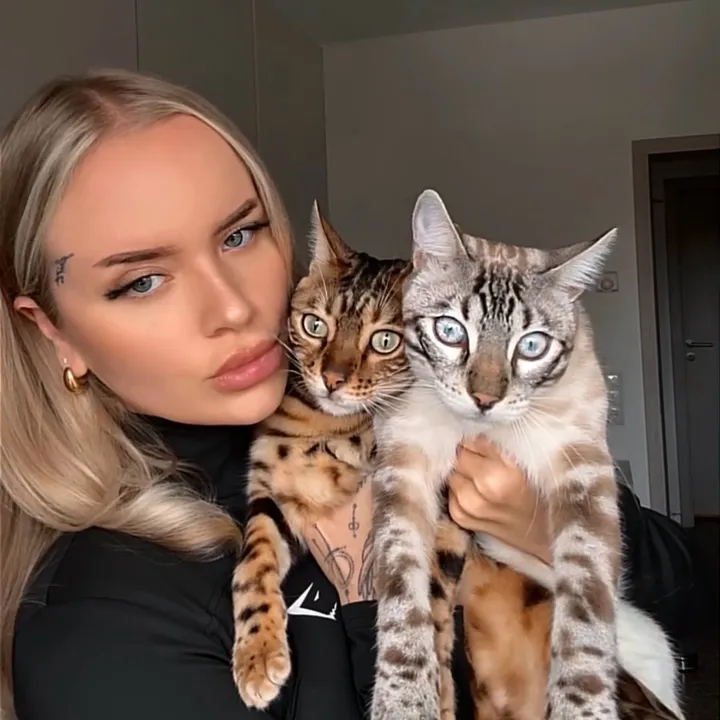 @aalinnnaa