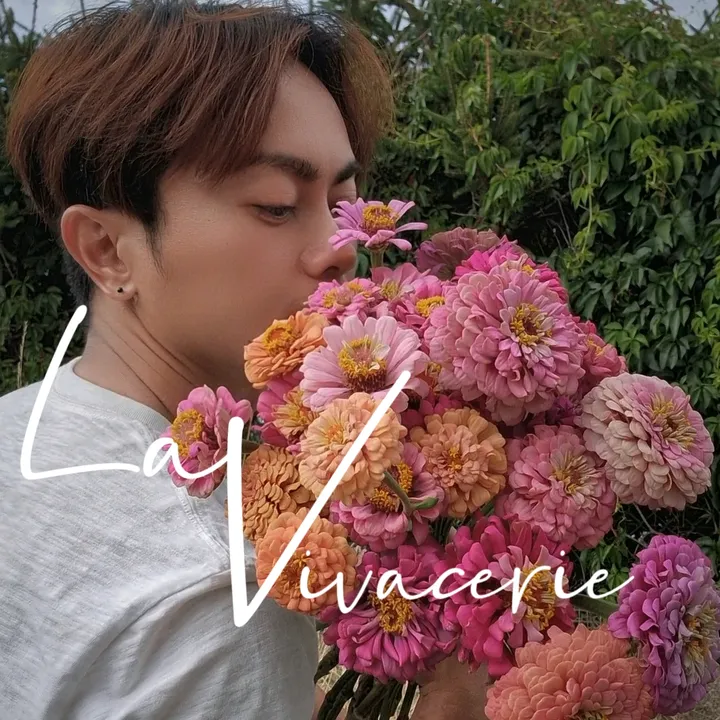 @lavivacerie