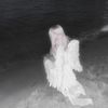 wl_angel06