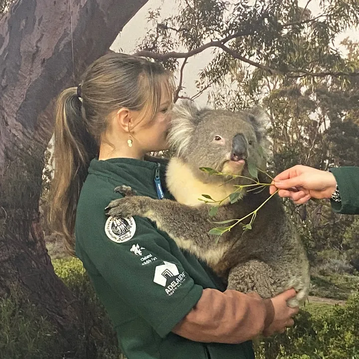 @helena.australia