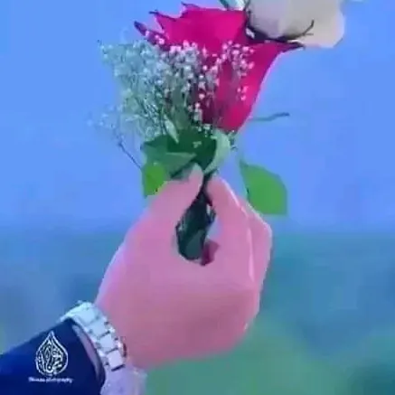 fromdadyalkashmir