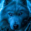 _wolfsrudel_1