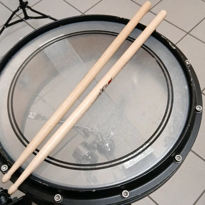 mirell154