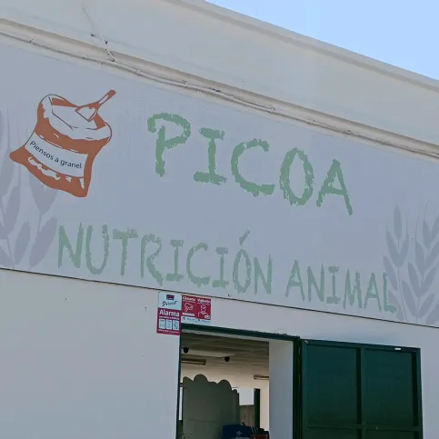 picoa.merida
